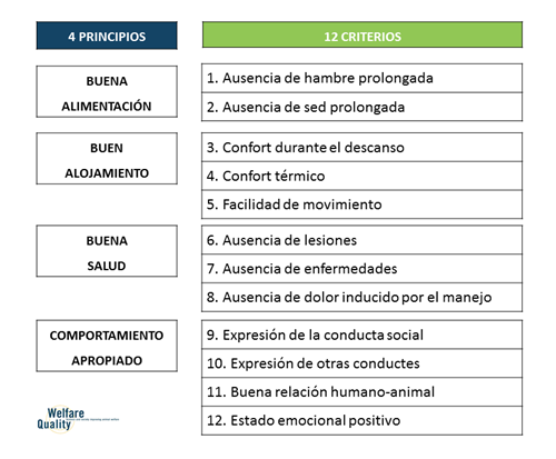 4 Principios y 12 Criterios del WQ