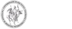 Logo Universidade de Sao Paulo